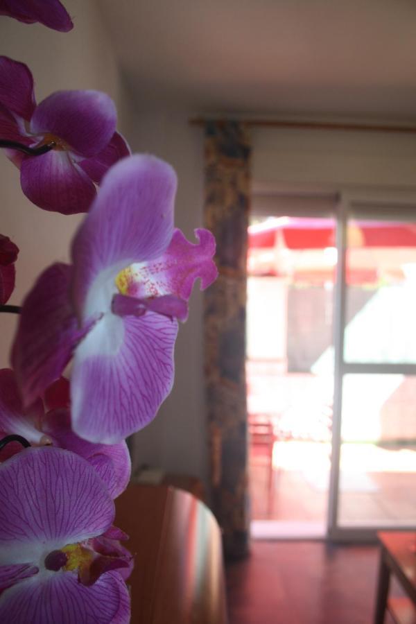 Apartamento Calle De La Cordera, 3 Torremolinos Extérieur photo