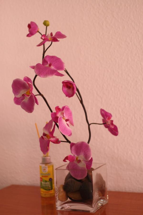 Apartamento Calle De La Cordera, 3 Torremolinos Extérieur photo